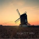 Avatar de Adrián Rosas